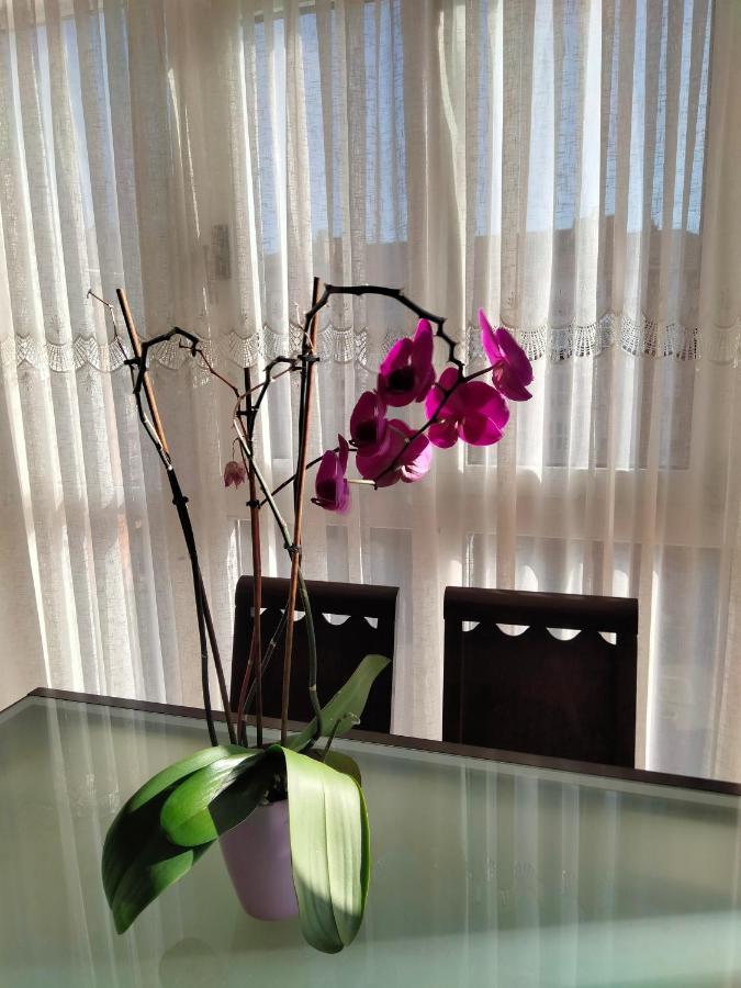 Gran Familia Apartment Santander Bagian luar foto